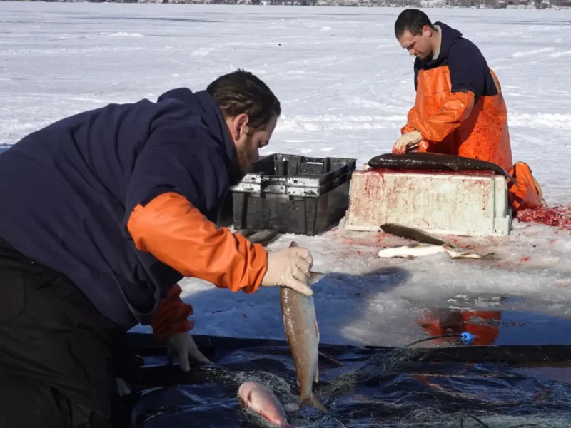 Iced out? Research on the Great Lakes goes ahead amid funding chaos.