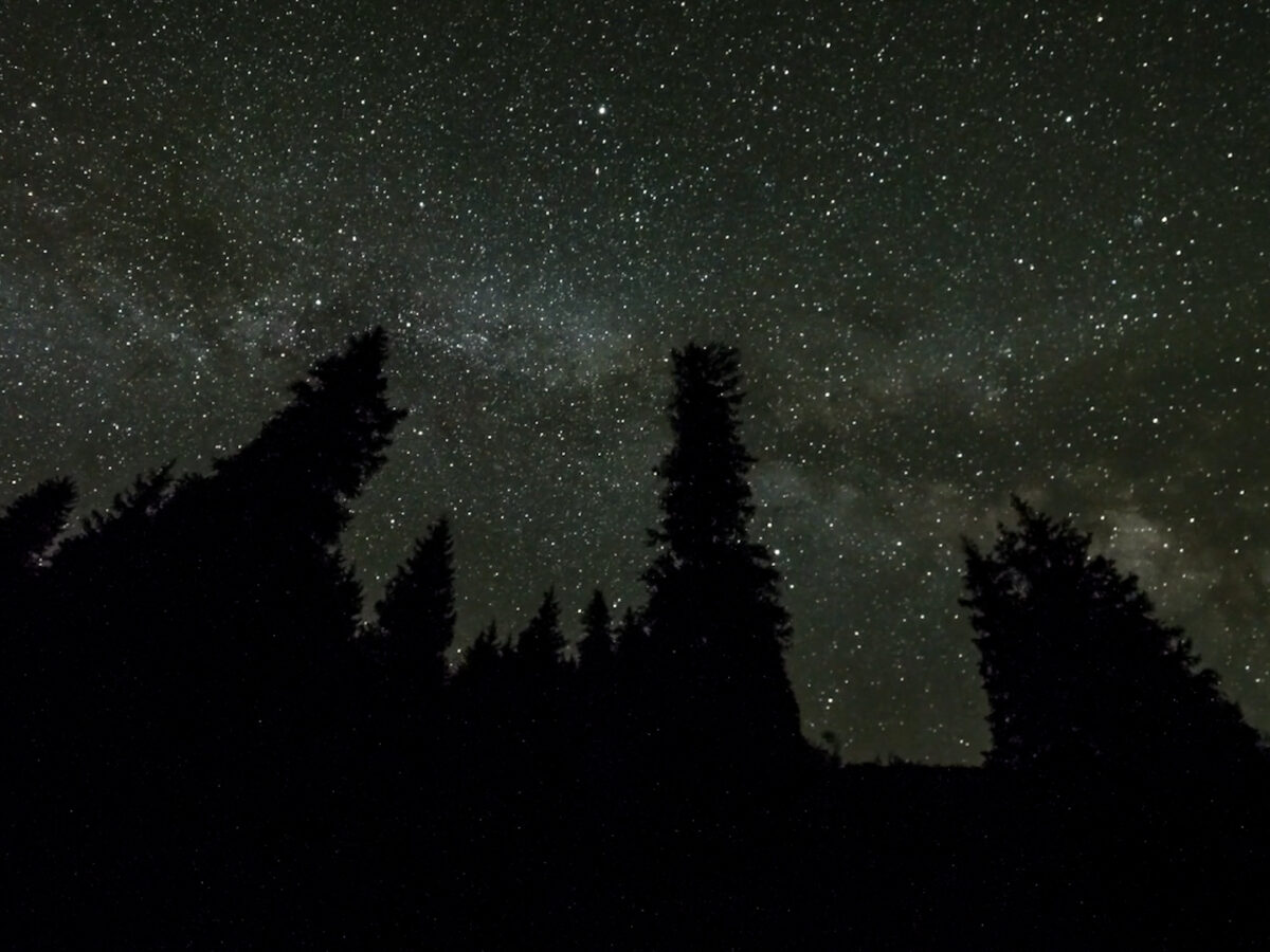 Fading Stars and River Bugs – Episode 2303