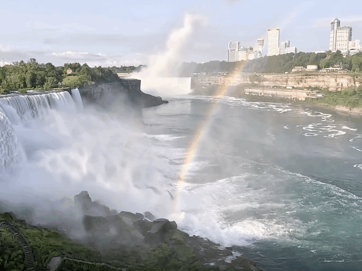 Saving Whitefish and Navigating Niagara