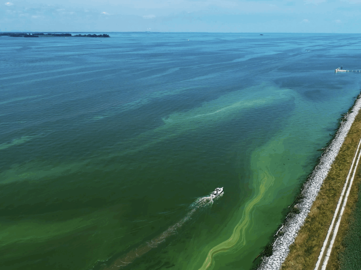 Protecting the Lakes from Pollution