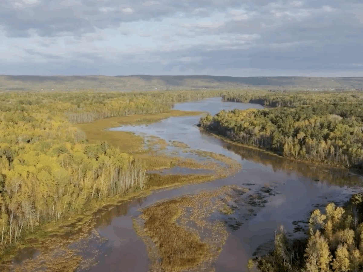Killer Trees and Sacred Waters