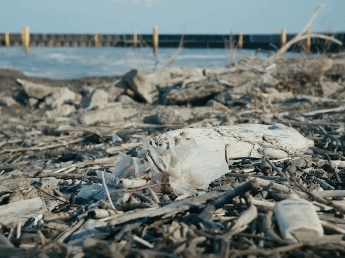 Sturgeon Streams and Plastic Pollution