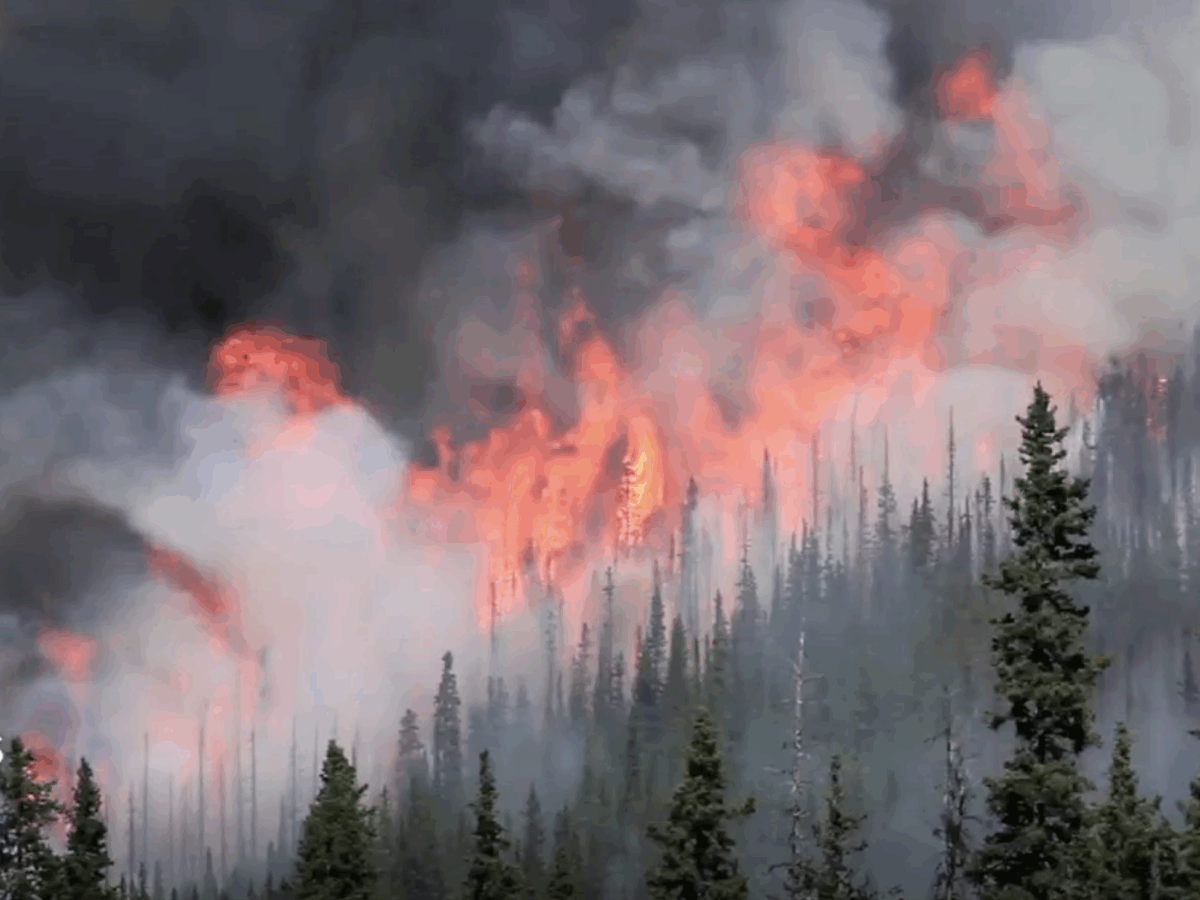 More Fire, More Water